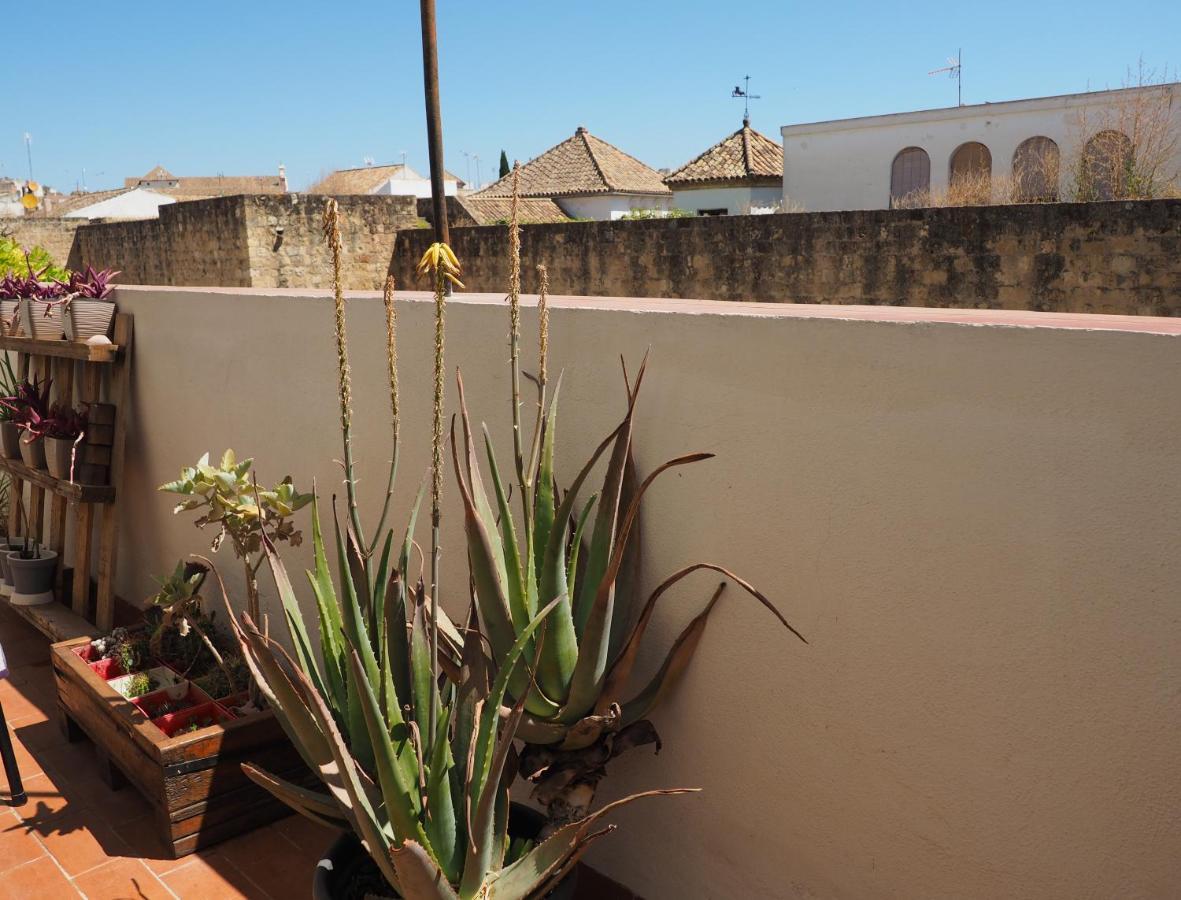 Apartamento En Juderia La Murallita قرطبة المظهر الخارجي الصورة